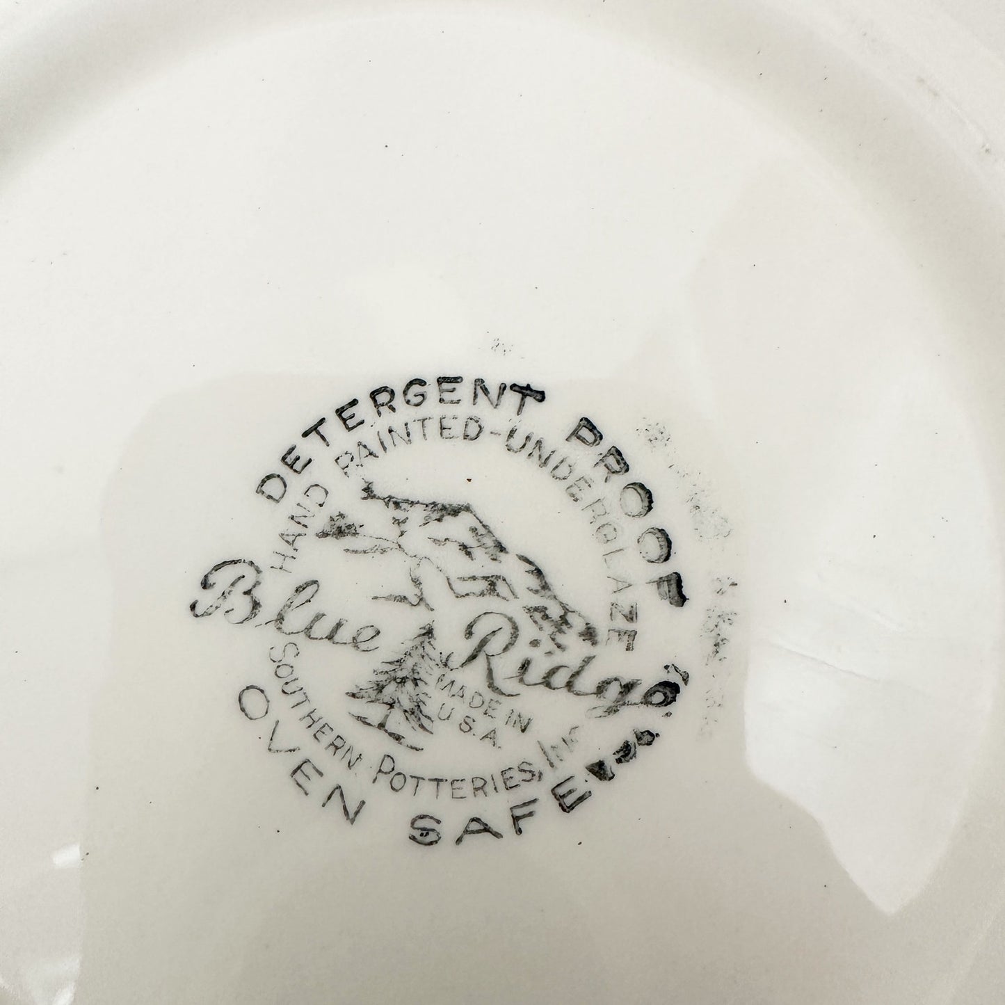 vintage Stanhome Ivy 13" Oval Serving Platter by Blue Ridge Southern Pottery USA