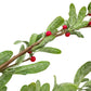 Artificial Mistletoe Garland | red & green