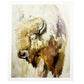 Buffalo Bill | 8" x 10" art print {unframed}