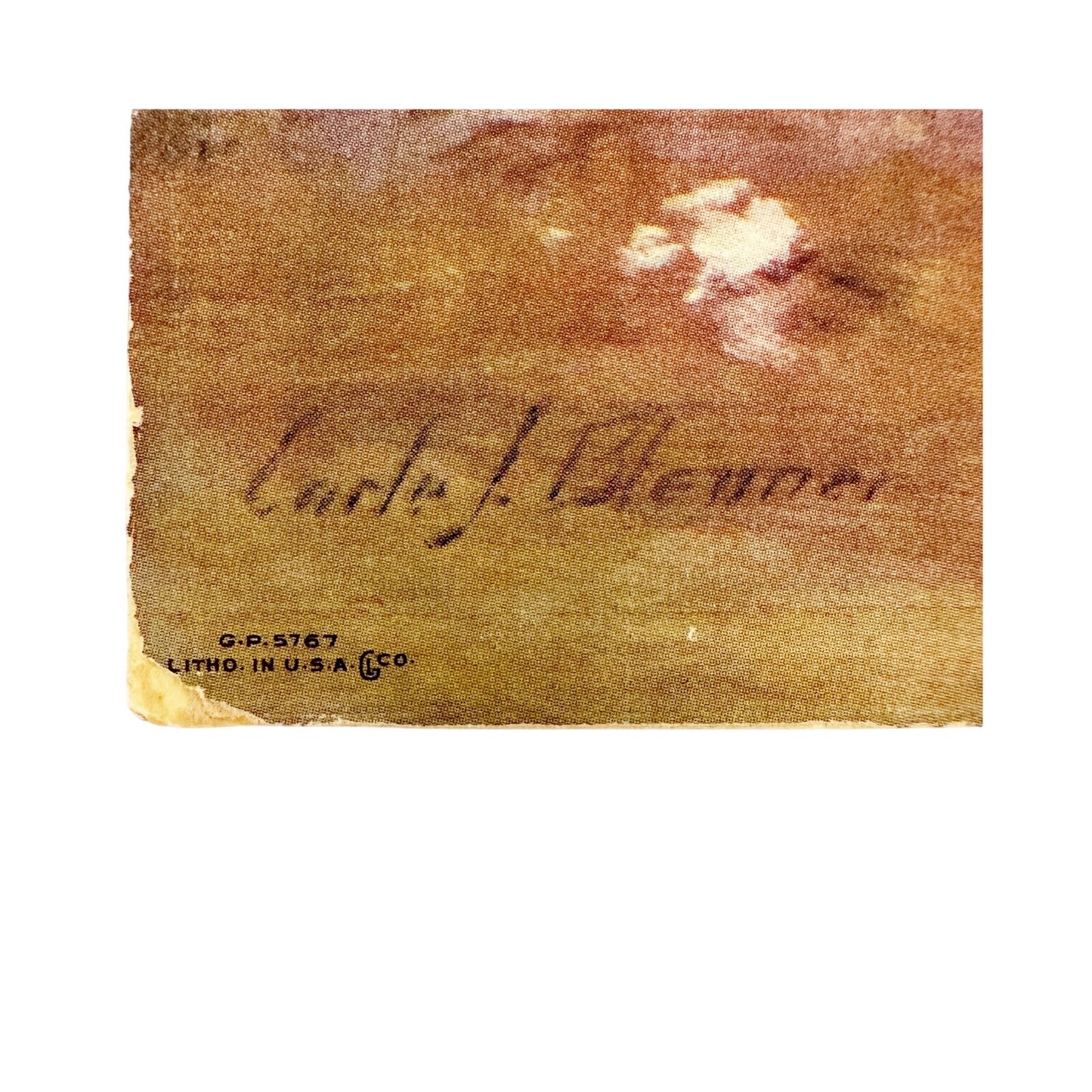 vintage Carle J. Blenner Art Print white & purple floral still life lithograph