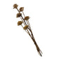 Wooden Deco Roses on Stems | bundle of 6