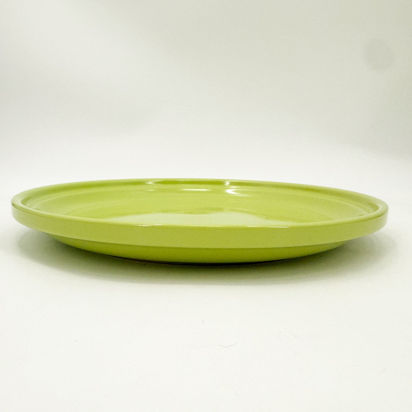 Royal Norfolk chartreuse lime green 11.5" Dinner Plates | set of 4