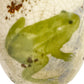 Creative Co-op House in the Country ceramic trinket cup green frog dragonflies