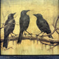 Black Birds | 14" x 14" framed art print