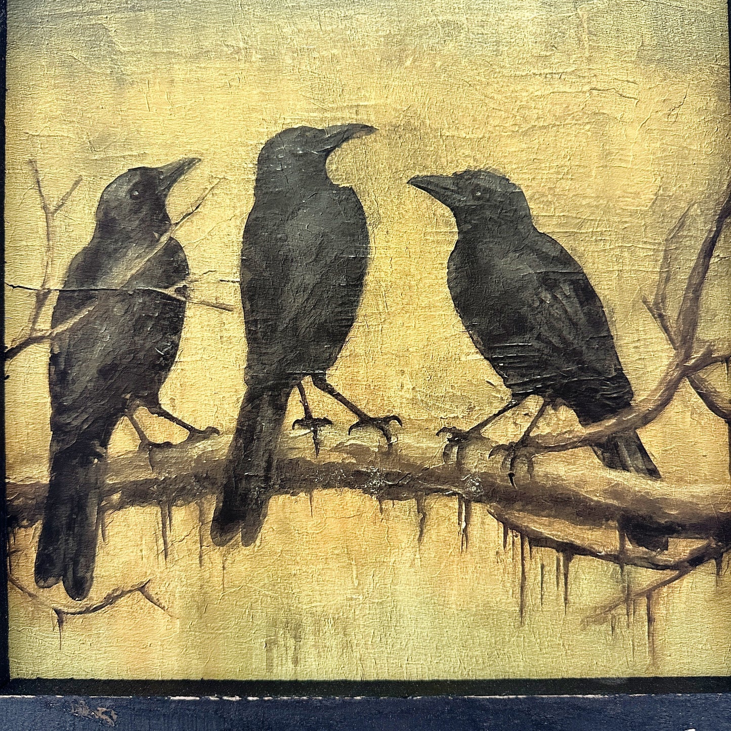 Black Birds | 14" x 14" framed art print