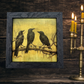 Black Birds | 14" x 14" framed art print