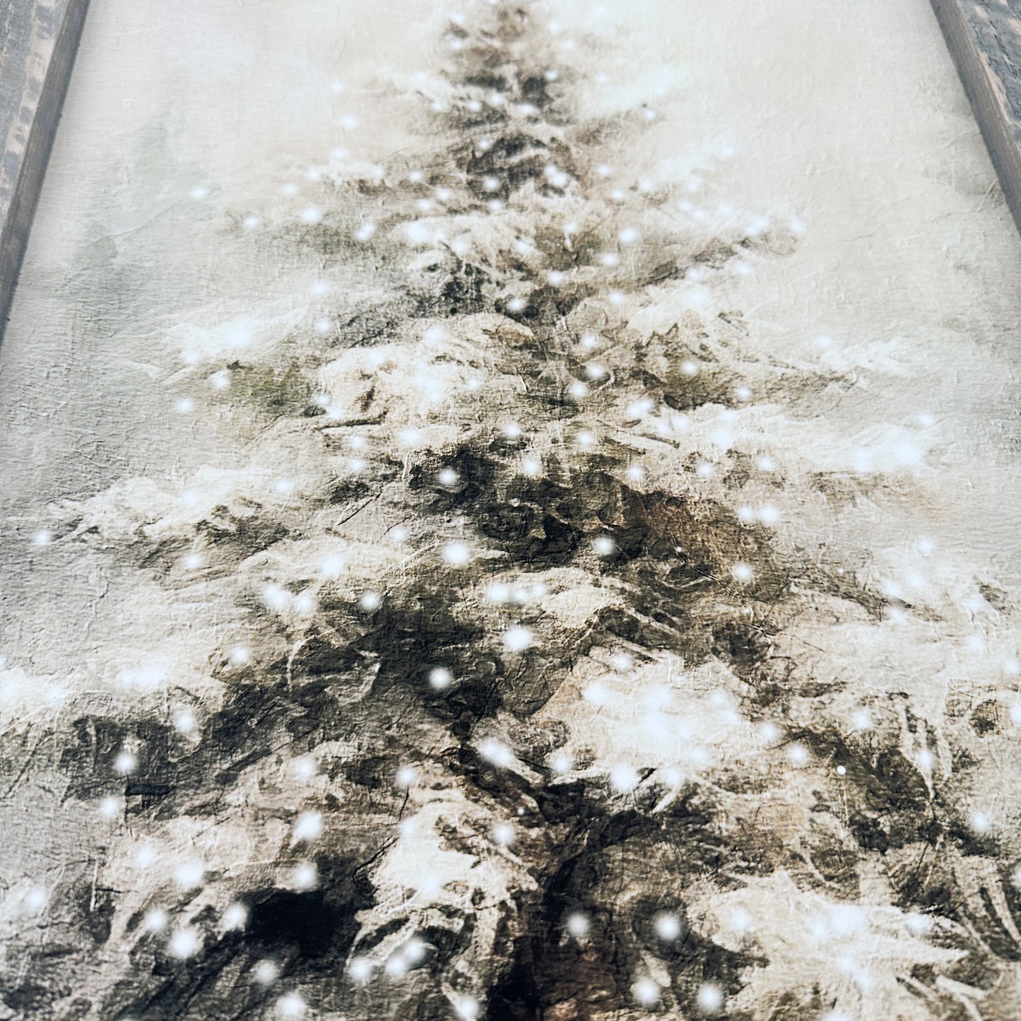 Painted-Light Conifer | 25" x 16" framed art print