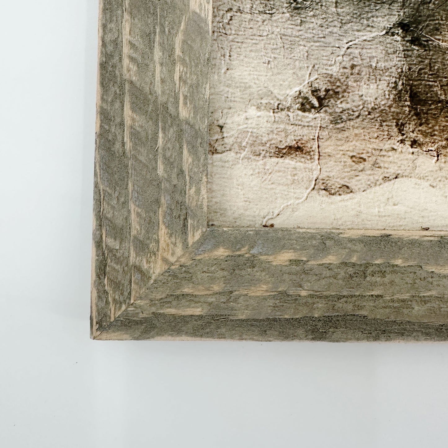 Painted-Light Conifer | 25" x 16" framed art print